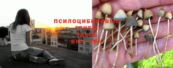 кокаин Пестово