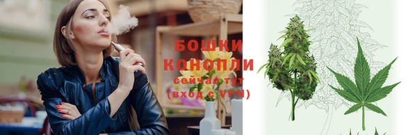 стафф Новодвинск