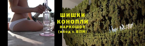 стафф Новодвинск