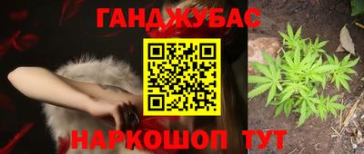 a pvp Гатчина