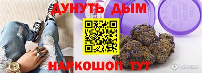 a pvp Гатчина