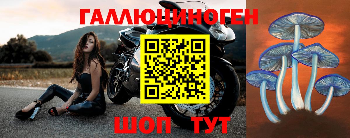 Галлюциногенные грибы прущие грибы  Вход с VPN  Ирбит 