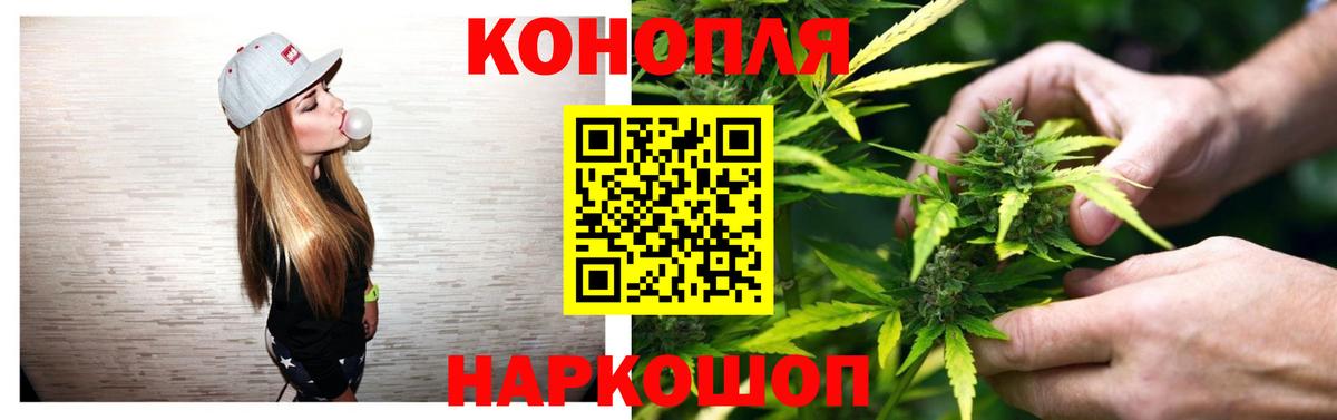 Шишки марихуана планчик Ирбит
